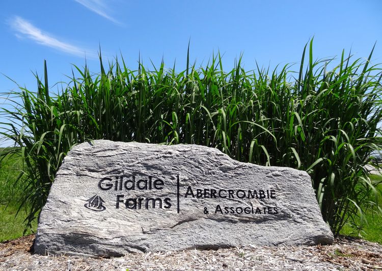 Gildale Farms- wood and pellets